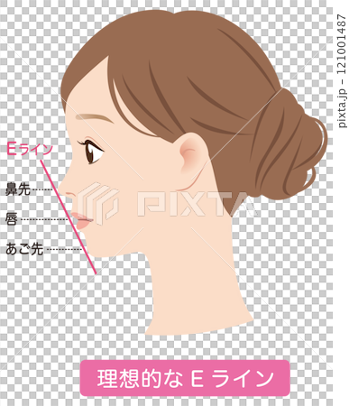 理想的なEライン 横顔 理想的なEライン 横顔 121001487