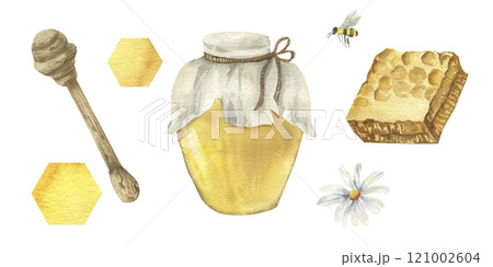 Honey food watercolor collection with honey glass jar,honeycomb slice, bee insect, wooden dipper and chamomile flowers. Hand drawn isolated elements for packing concept design. 121002604