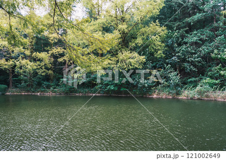 [大阪万博公園]美しい公園内の風景 121002649