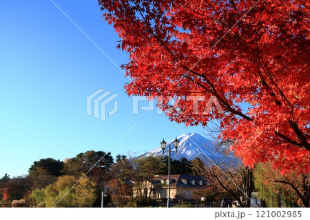 河口湖ハーブ館からの景観 121002985