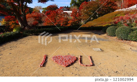 勝尾寺紅葉 勝尾寺紅葉 121002994
