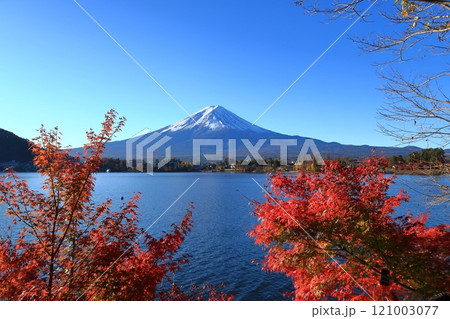 富士山と紅葉の景観 121003077