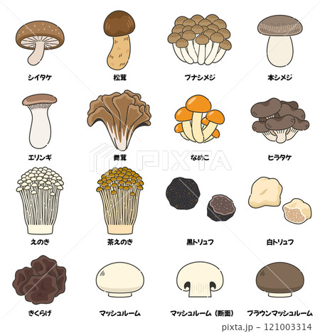 キノコのイラストセット 121003314