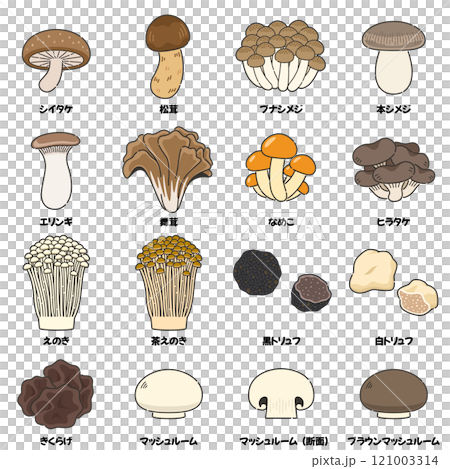 キノコのイラストセット 121003314
