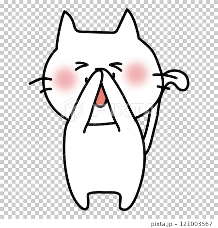 鼻をさわっている白い猫 121003567