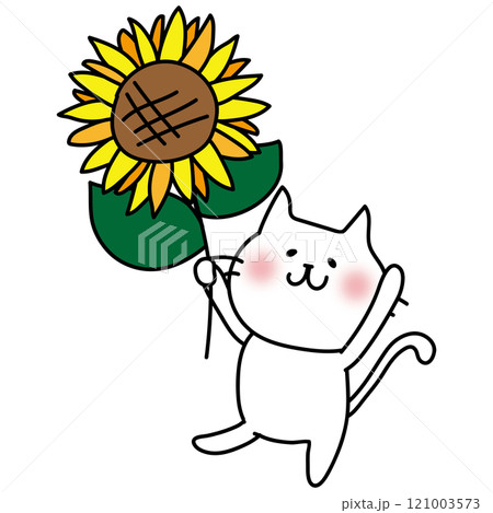 ヒマワリを持っている白い猫 ヒマワリを持っている白い猫 121003573