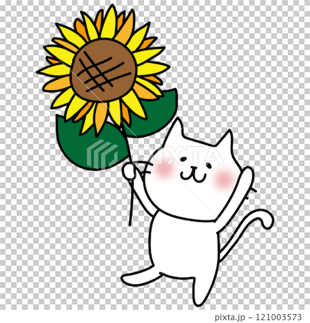 ヒマワリを持っている白い猫 ヒマワリを持っている白い猫 121003573