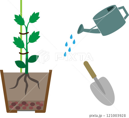 植木鉢に植えた接ぎ木苗とスコップとジョウロのイラスト素材 121003928