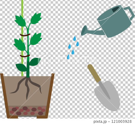 植木鉢に植えた接ぎ木苗とスコップとジョウロのイラスト素材 121003928