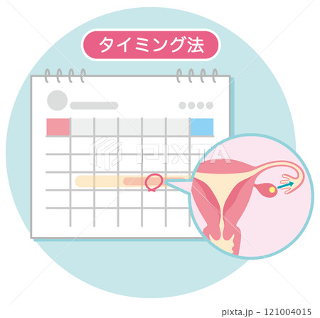 不妊治療　不妊症　タイミング法　印の付いたカレンダー 121004015
