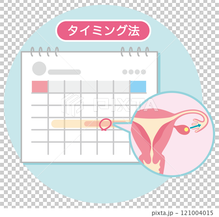 不妊治療　不妊症　タイミング法　印の付いたカレンダー 121004015