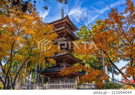 【新潟県_佐渡市_妙宣寺】新潟県内に現存する唯一の『五重塔』 秋編 11月 【新潟県_佐渡市_妙宣寺】新潟県内に現存する唯一の『五重塔』 秋編 11月 121004044