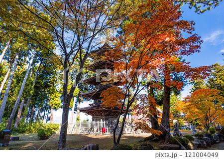 【新潟県_佐渡市_妙宣寺】新潟県内に現存する唯一の『五重塔』 秋編　11月 121004049