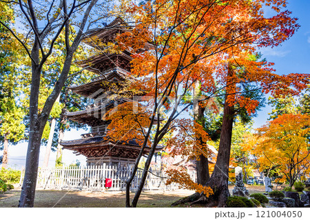 【新潟県_佐渡市_妙宣寺】新潟県内に現存する唯一の『五重塔』 秋編　11月 121004050