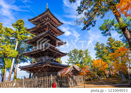 【新潟県_佐渡市_妙宣寺】新潟県内に現存する唯一の『五重塔』 秋編 11月 【新潟県_佐渡市_妙宣寺】新潟県内に現存する唯一の『五重塔』 秋編 11月 121004053