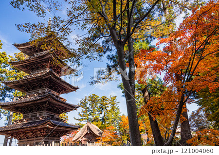 【新潟県_佐渡市_妙宣寺】新潟県内に現存する唯一の『五重塔』 秋編　11月 121004060