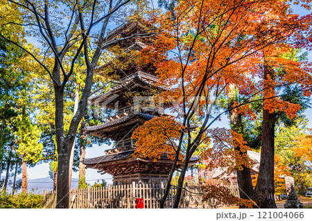 【新潟県_佐渡市_妙宣寺】新潟県内に現存する唯一の『五重塔』 秋編 11月 【新潟県_佐渡市_妙宣寺】新潟県内に現存する唯一の『五重塔』 秋編 11月 121004066