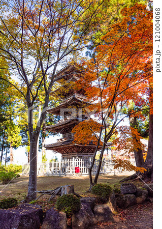 【新潟県_佐渡市_妙宣寺】新潟県内に現存する唯一の『五重塔』 秋編　11月 121004068