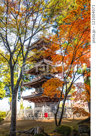 【新潟県_佐渡市_妙宣寺】新潟県内に現存する唯一の『五重塔』 秋編　11月 121004071