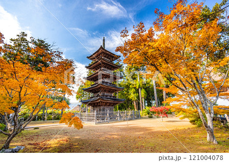 【新潟県_佐渡市_妙宣寺】新潟県内に現存する唯一の『五重塔』 秋編 11月 【新潟県_佐渡市_妙宣寺】新潟県内に現存する唯一の『五重塔』 秋編 11月 121004078