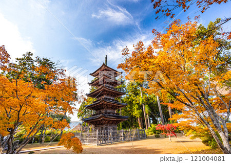 【新潟県_佐渡市_妙宣寺】新潟県内に現存する唯一の『五重塔』 秋編　11月 121004081