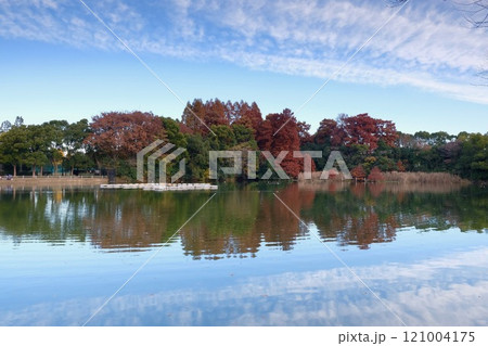 浮間公園の秋 浮間公園の秋 121004175
