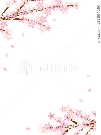 桜　フレーム　　ベクター　シンプル　縦長	 121004200