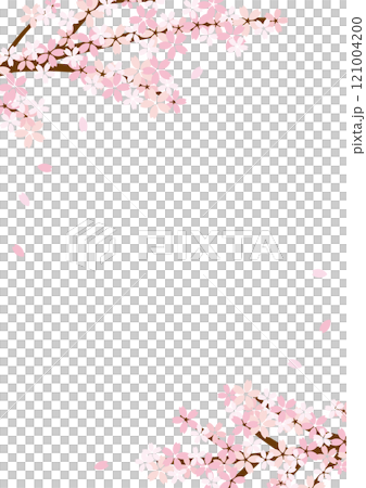 桜　フレーム　　ベクター　シンプル　縦長	 121004200