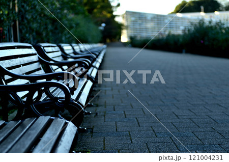 東京 神代植物公園 秋のベンチの風景 東京 神代植物公園 秋のベンチの風景 121004231