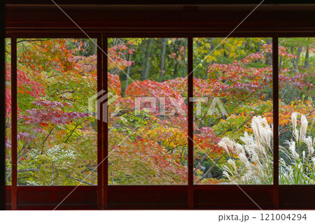 南禅寺天授庵の庫裏から見える美しい紅葉 121004294