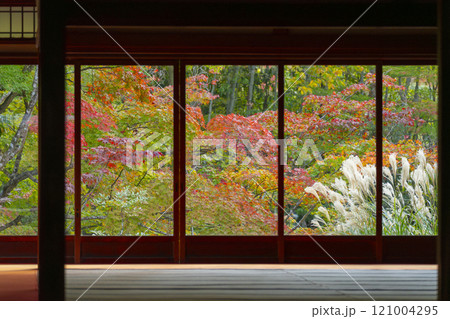 南禅寺天授庵の庫裏から見える美しい紅葉 121004295