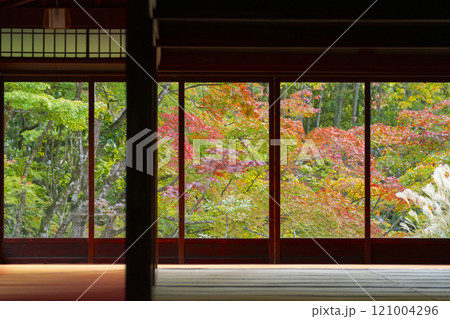 南禅寺天授庵の庫裏から見える美しい紅葉 121004296