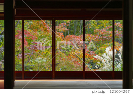 南禅寺天授庵の庫裏から見える美しい紅葉 121004297