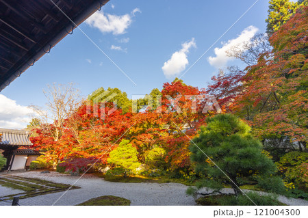 秋の京都　南禅寺天授庵　紅葉に包まれた東庭 121004300