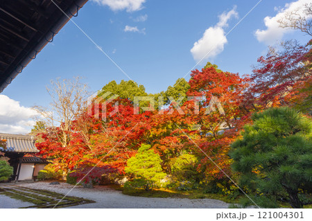 秋の京都 南禅寺天授庵 紅葉に包まれた東庭 秋の京都 南禅寺天授庵 紅葉に包まれた東庭 121004301