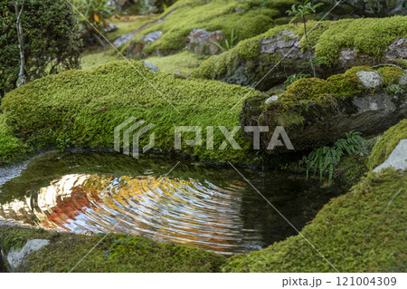 秋の京都 天授庵 苔が美しい手水鉢 秋の京都 天授庵 苔が美しい手水鉢 121004309