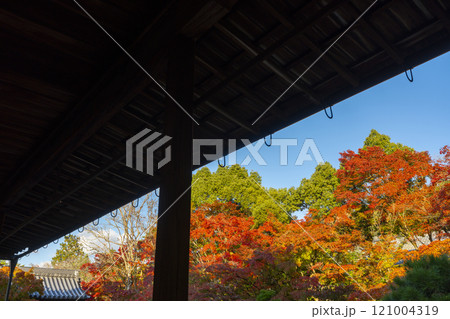 秋の京都　南禅寺天授庵　紅葉に包まれた東庭 121004319