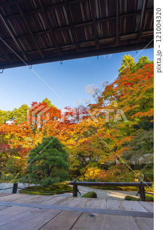 秋の京都　南禅寺天授庵　紅葉に包まれた東庭 121004320