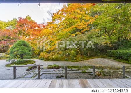 秋の京都 南禅寺天授庵 紅葉に包まれた東庭 秋の京都 南禅寺天授庵 紅葉に包まれた東庭 121004326