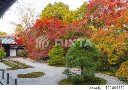 秋の京都　南禅寺天授庵　紅葉に包まれた東庭 121004332