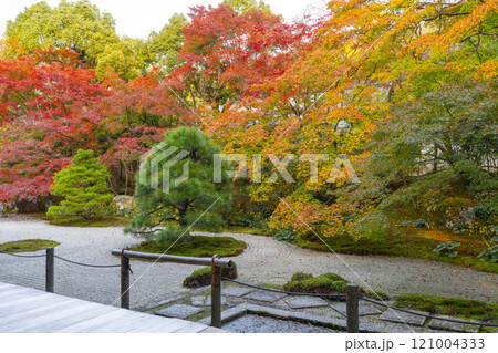 秋の京都 南禅寺天授庵 紅葉に包まれた東庭 秋の京都 南禅寺天授庵 紅葉に包まれた東庭 121004333