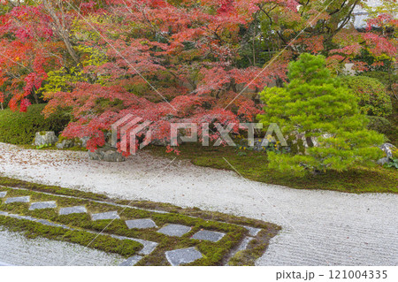 秋の京都　南禅寺天授庵　紅葉に包まれた東庭 121004335