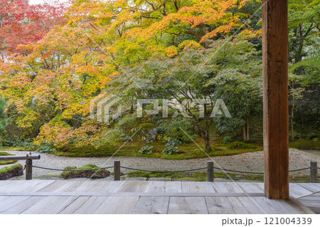 秋の京都　南禅寺天授庵　紅葉に包まれた東庭 121004339