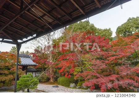 秋の京都　南禅寺天授庵　紅葉に包まれた東庭 121004340