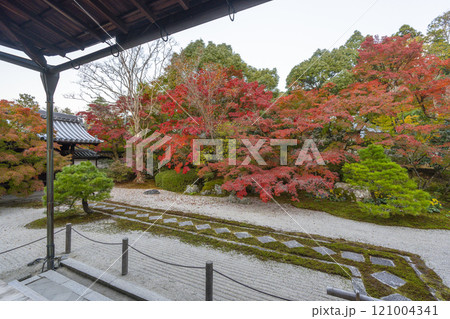秋の京都 南禅寺天授庵 紅葉に包まれた東庭 秋の京都 南禅寺天授庵 紅葉に包まれた東庭 121004341