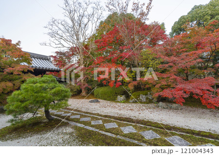 秋の京都　南禅寺天授庵　紅葉に包まれた東庭 121004343