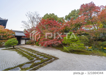 秋の京都 南禅寺天授庵 紅葉に包まれた東庭 秋の京都 南禅寺天授庵 紅葉に包まれた東庭 121004344