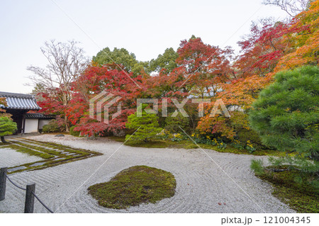 秋の京都　南禅寺天授庵　紅葉に包まれた東庭 121004345