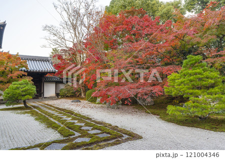 秋の京都　南禅寺天授庵　紅葉に包まれた東庭 121004346