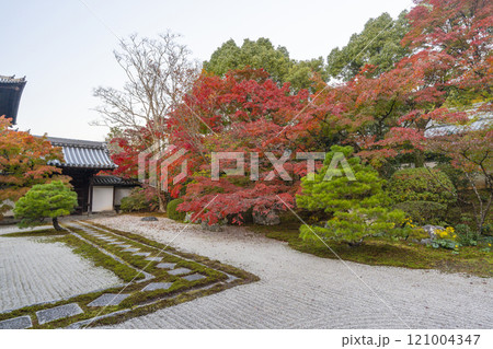 秋の京都　南禅寺天授庵　紅葉に包まれた東庭 121004347